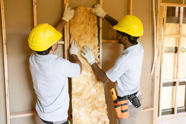 Professional Insulation in Forest, MS